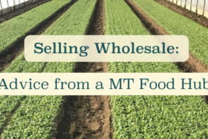 Selling Wholesale: Advice from a MT Food Hub