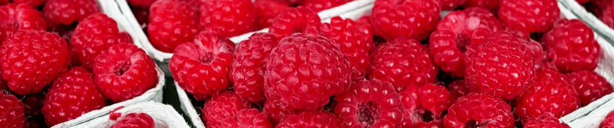 raspberry header